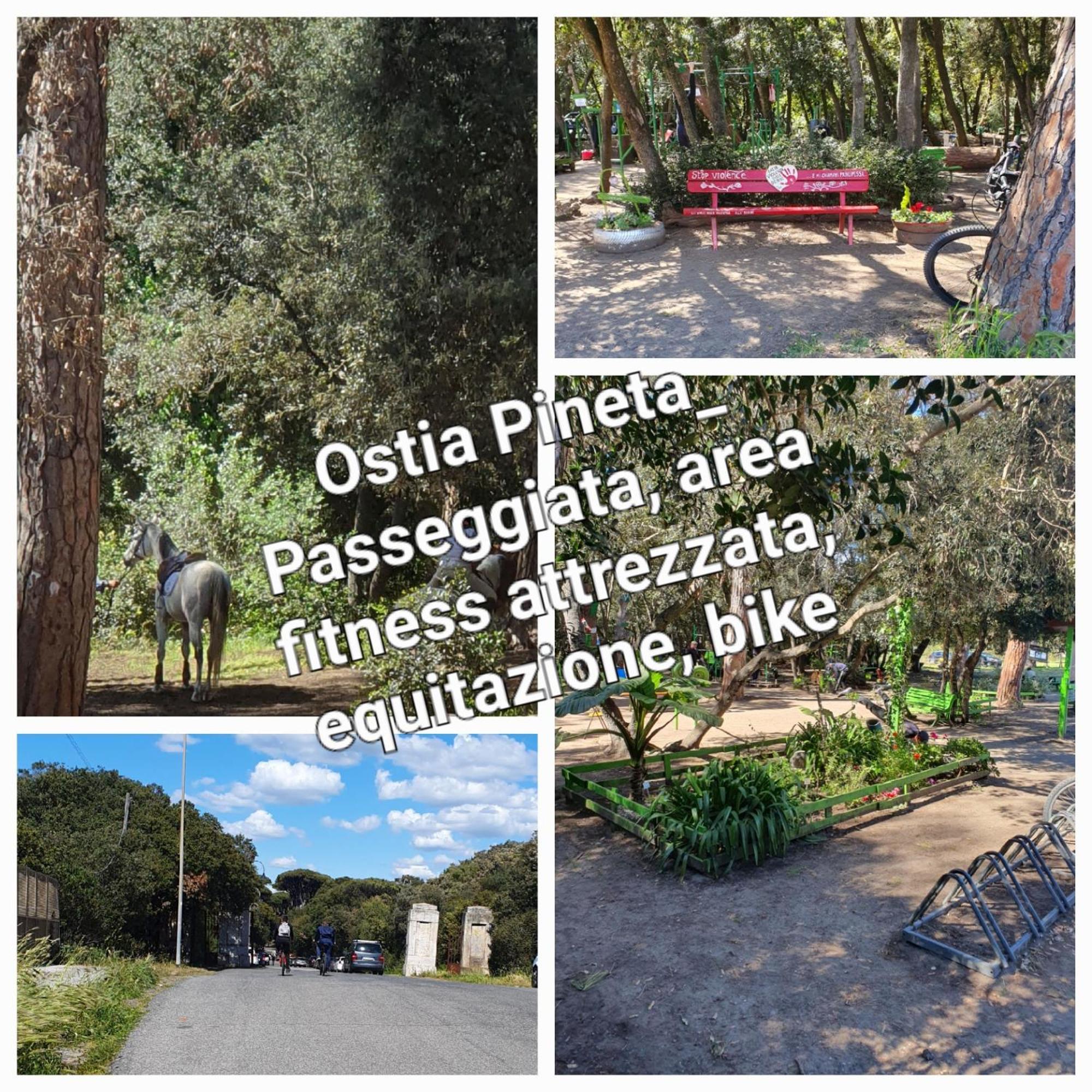 Casa Diana Ostia公寓 外观 照片